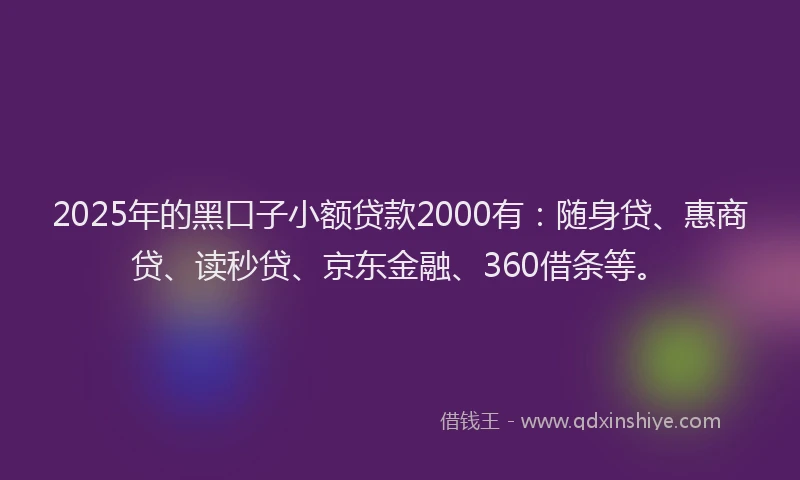 2025年的黑口子小额贷款2000有：随身贷、惠商贷、读秒贷、京东金融、360借条等。