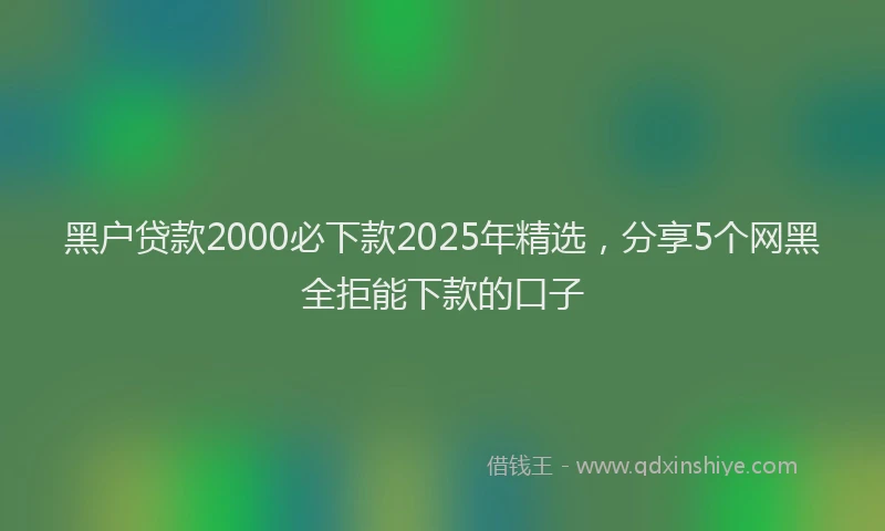 黑户贷款2000必下款2025年精选，分享5个网黑全拒能下款的口子
