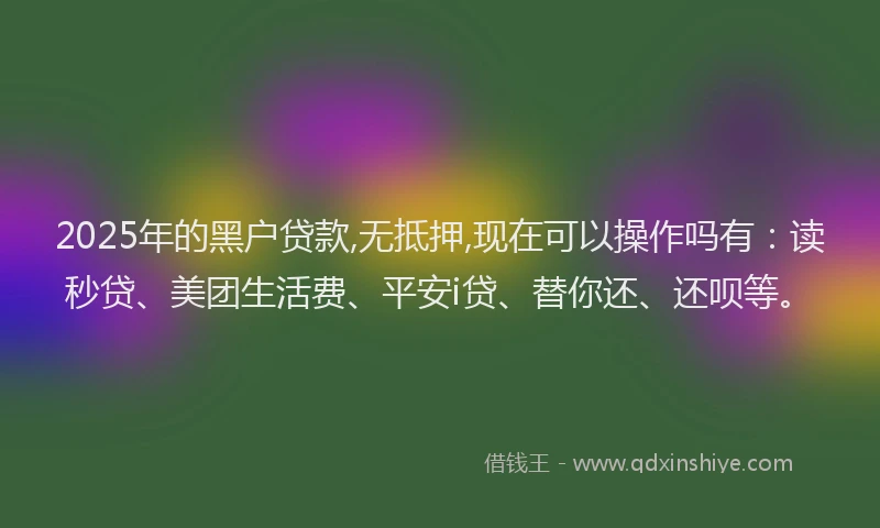 2025年的黑户贷款,无抵押,现在可以操作吗有：读秒贷、美团生活费、平安i贷、替你还、还呗等。