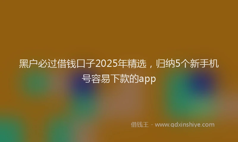 黑户必过借钱口子2025年精选，归纳5个新手机号容易下款的app
