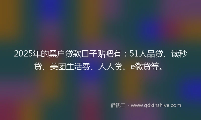 2025年的黑户贷款口子贴吧有:51人品贷、读秒贷、美团生活费、人人贷、e微贷等。