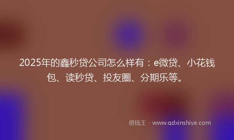 2025年的鑫秒贷公司怎么样有：e微贷、小花钱包、读秒贷、投友圈、分期乐等。