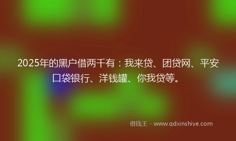 2025年的黑户借两千有：我来贷、团贷网、平安口袋银行、洋钱罐、你我贷等。