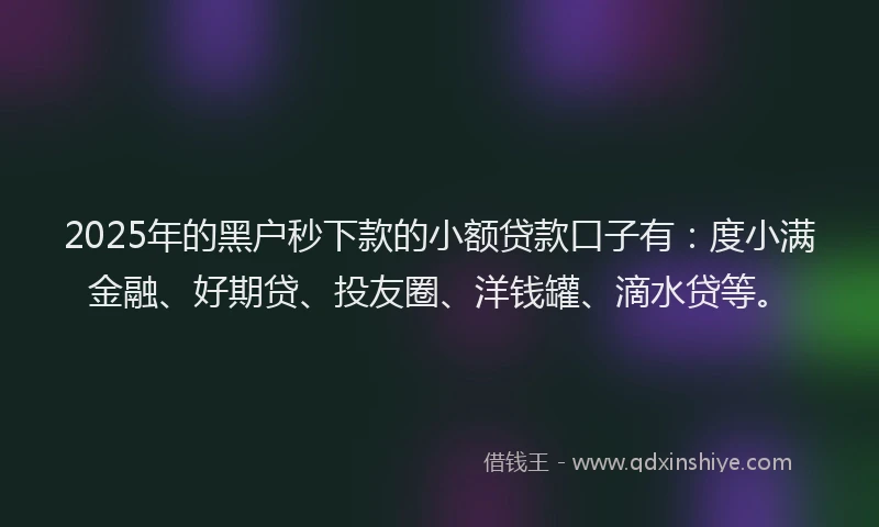 2025年的黑户秒下款的小额贷款口子有：度小满金融、好期贷、投友圈、洋钱罐、滴水贷等。