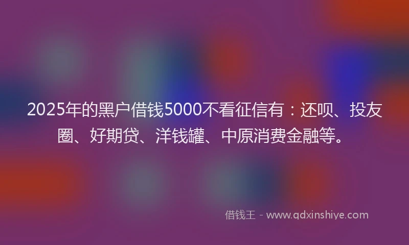 2025年的黑户借钱5000不看征信有：还呗、投友圈、好期贷、洋钱罐、中原消费金融等。