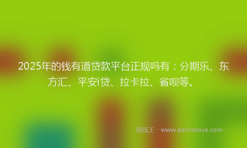 2025年的钱有道贷款平台正规吗有：分期乐、东方汇、平安i贷、拉卡拉、省呗等。
