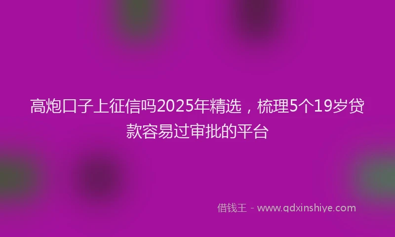 高炮口子上征信吗2025年精选，梳理5个19岁贷款容易过审批的平台