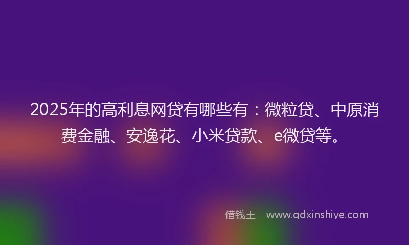 2025年的高利息网贷有哪些有：微粒贷、中原消费金融、安逸花、小米贷款、e微贷等。