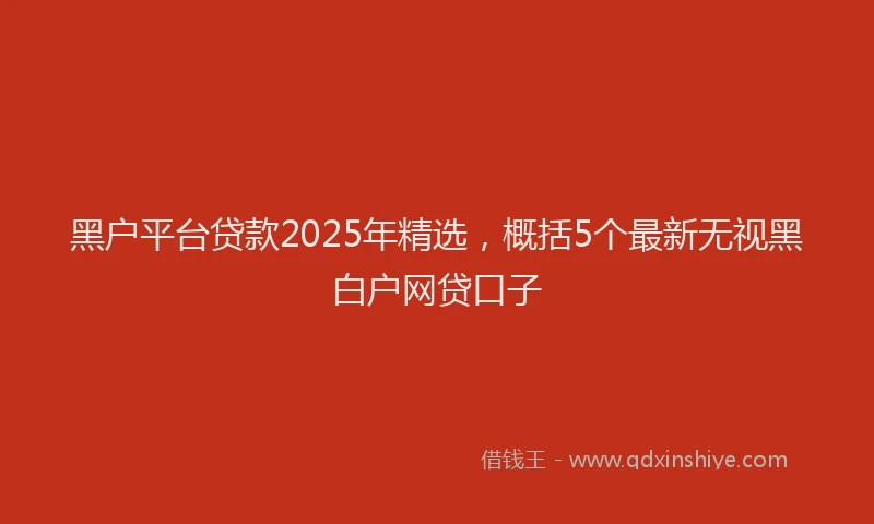 黑户平台贷款2025年精选，概括5个最新无视黑白户网贷口子