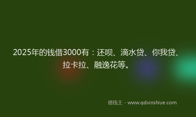 2025年的钱借3000有：还呗、滴水贷、你我贷、拉卡拉、融逸花等。