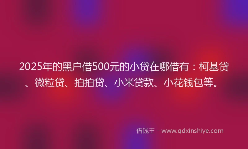 2025年的黑户借500元的小贷在哪借有：柯基贷、微粒贷、拍拍贷、小米贷款、小花钱包等。