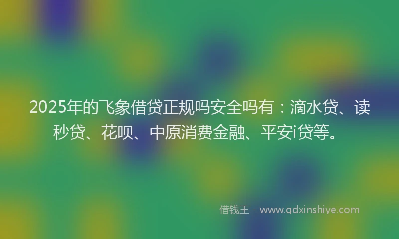 2025年的飞象借贷正规吗安全吗有：滴水贷、读秒贷、花呗、中原消费金融、平安i贷等。