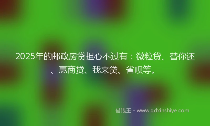 2025年的邮政房贷担心不过有：微粒贷、替你还、惠商贷、我来贷、省呗等。