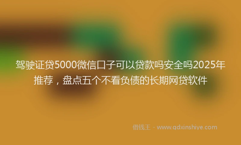 驾驶证贷5000微信口子可以贷款吗安全吗2025年推荐，盘点五个不看负债的长期网贷软件
