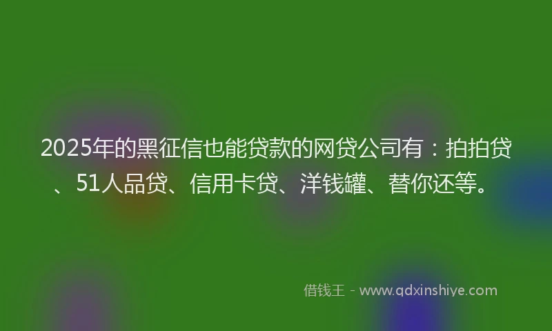 2025年的黑征信也能贷款的网贷公司有：拍拍贷、51人品贷、信用卡贷、洋钱罐、替你还等。