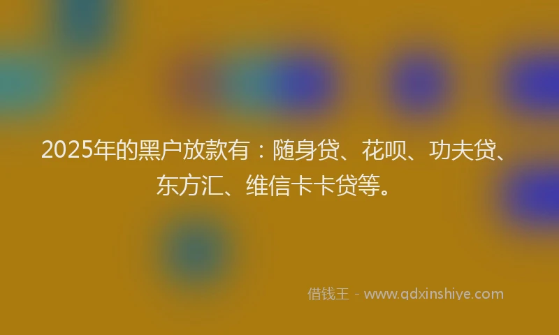2025年的黑户放款有：随身贷、花呗、功夫贷、东方汇、维信卡卡贷等。