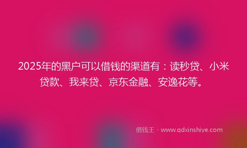 2025年的黑户可以借钱的渠道有：读秒贷、小米贷款、我来贷、京东金融、安逸花等。