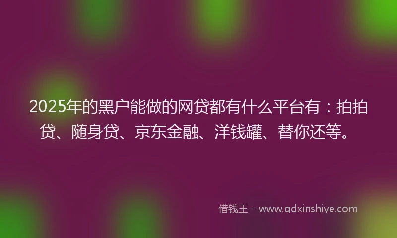 2025年的黑户能做的网贷都有什么平台有：拍拍贷、随身贷、京东金融、洋钱罐、替你还等。