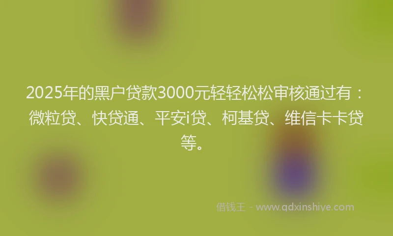2025年的黑户贷款3000元轻轻松松审核通过有：微粒贷、快贷通、平安i贷、柯基贷、维信卡卡贷等。