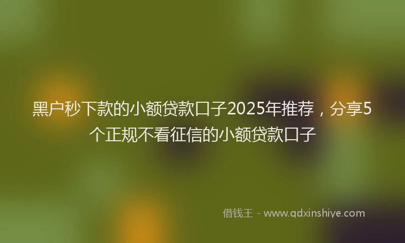 黑户秒下款的小额贷款口子2025年推荐，分享5个正规不看征信的小额贷款口子