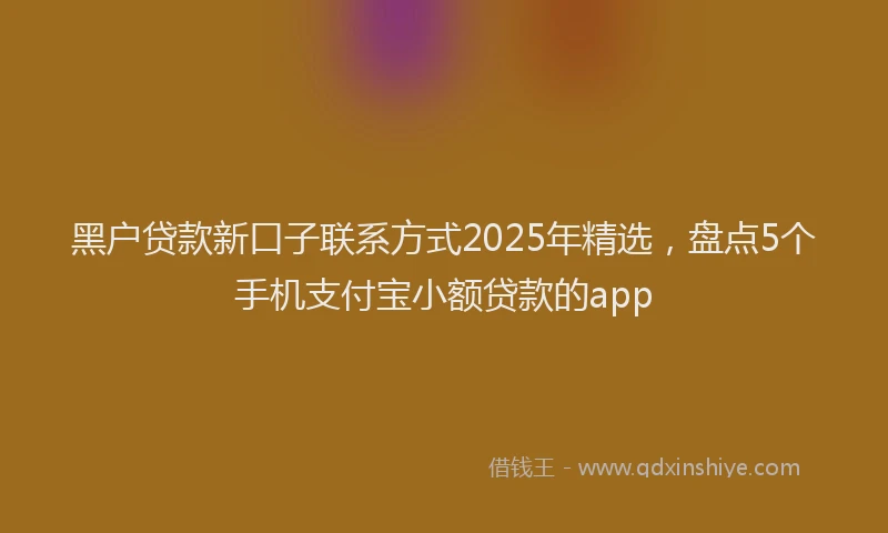 黑户贷款新口子联系方式2025年精选，盘点5个手机支付宝小额贷款的app