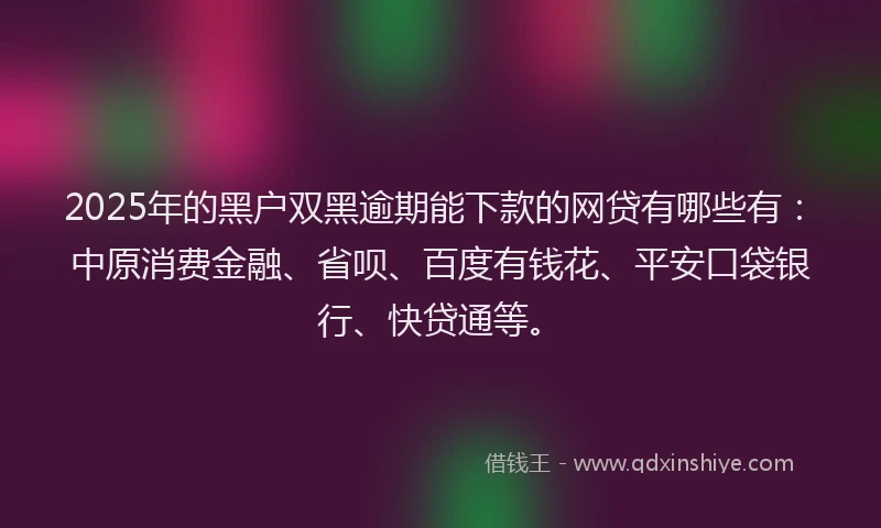 2025年的黑户双黑逾期能下款的网贷有哪些有：中原消费金融、省呗、百度有钱花、平安口袋银行、快贷通等。