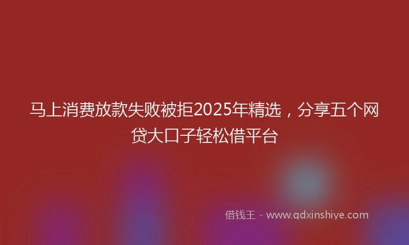 马上消费放款失败被拒2025年精选，分享五个网贷大口子轻松借平台