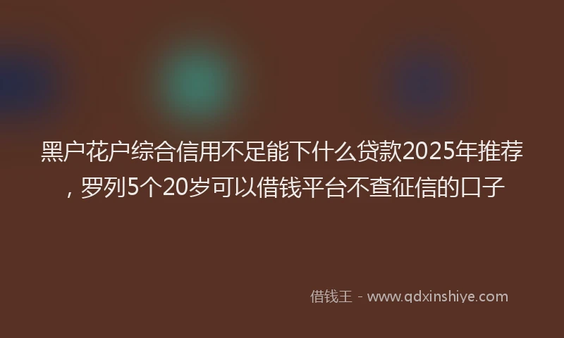 黑户花户综合信用不足能下什么贷款2025年推荐，罗列5个20岁可以借钱平台不查征信的口子