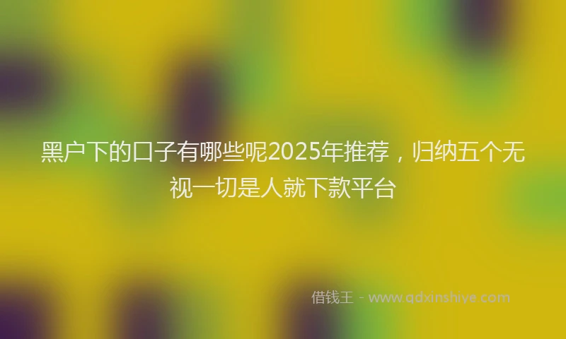 黑户下的口子有哪些呢2025年推荐，归纳五个无视一切是人就下款平台