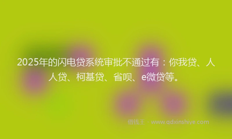 2025年的闪电贷系统审批不通过有：你我贷、人人贷、柯基贷、省呗、e微贷等。