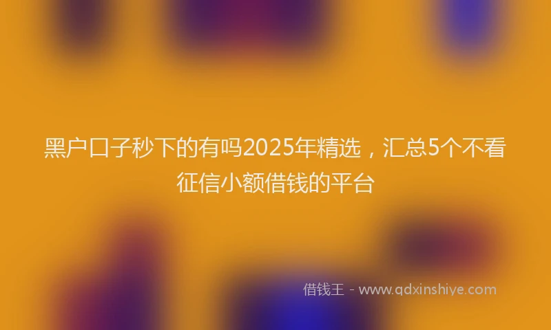 黑户口子秒下的有吗2025年精选，汇总5个不看征信小额借钱的平台