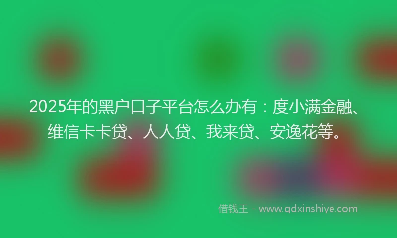 2025年的黑户口子平台怎么办有：度小满金融、维信卡卡贷、人人贷、我来贷、安逸花等。