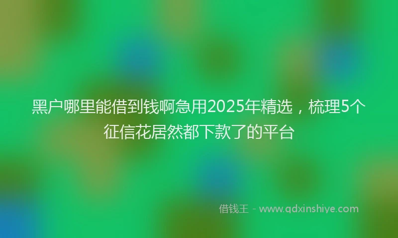 黑户哪里能借到钱啊急用2025年精选，梳理5个征信花居然都下款了的平台