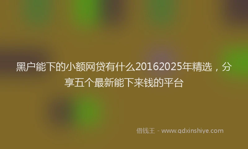 黑户能下的小额网贷有什么20162025年精选，分享五个最新能下来钱的平台