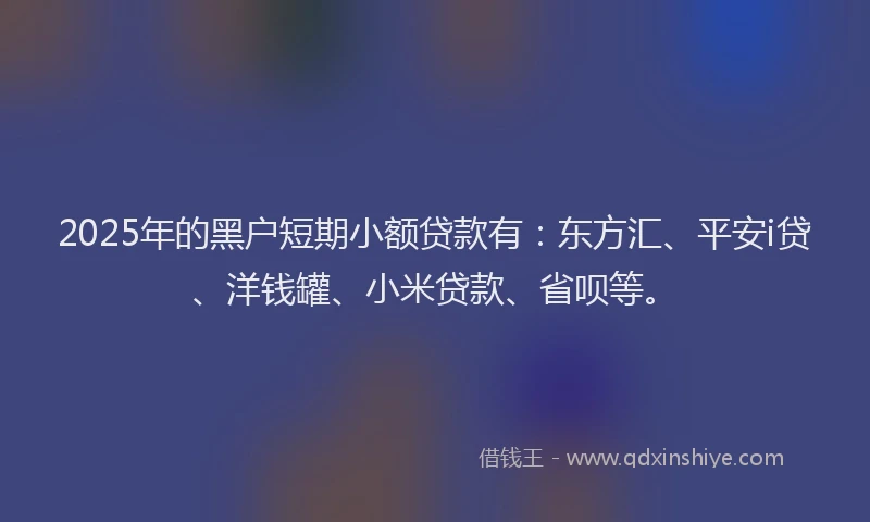 2025年的黑户短期小额贷款有：东方汇、平安i贷、洋钱罐、小米贷款、省呗等。