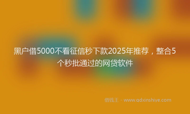 黑户借5000不看征信秒下款2025年推荐，整合5个秒批通过的网贷软件