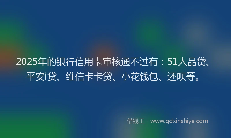 2025年的银行信用卡审核通不过有：51人品贷、平安i贷、维信卡卡贷、小花钱包、还呗等。