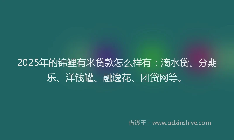2025年的锦鲤有米贷款怎么样有：滴水贷、分期乐、洋钱罐、融逸花、团贷网等。