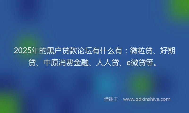2025年的黑户贷款论坛有什么有：微粒贷、好期贷、中原消费金融、人人贷、e微贷等。