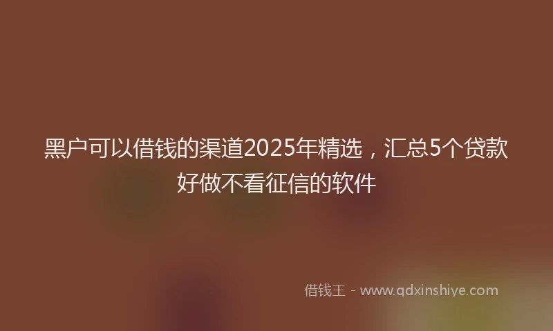 黑户可以借钱的渠道2025年精选，汇总5个贷款好做不看征信的软件