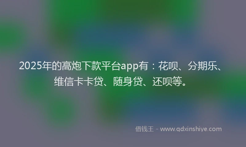 2025年的高炮下款平台app有：花呗、分期乐、维信卡卡贷、随身贷、还呗等。