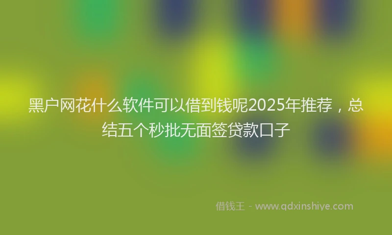 黑户网花什么软件可以借到钱呢2025年推荐，总结五个秒批无面签贷款口子