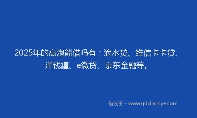 2025年的高炮能借吗有：滴水贷、维信卡卡贷、洋钱罐、e微贷、京东金融等。