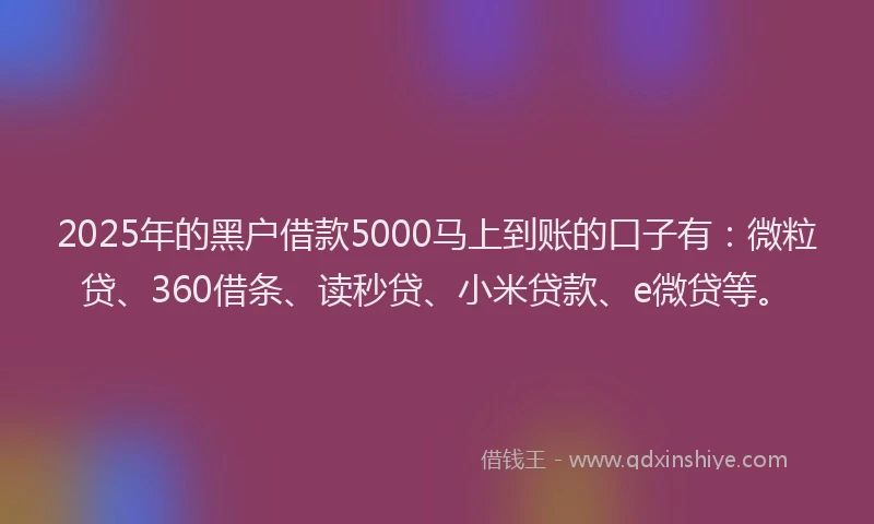 2025年的黑户借款5000马上到账的口子有：微粒贷、360借条、读秒贷、小米贷款、e微贷等。