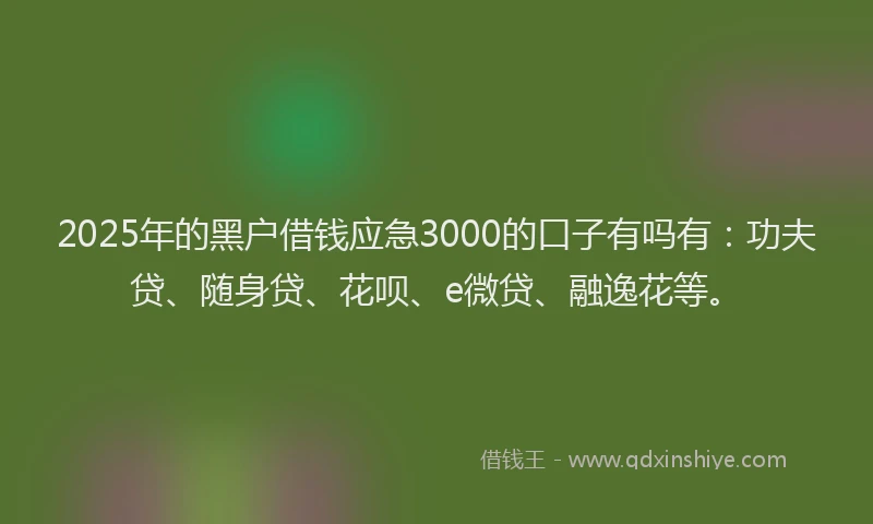 2025年的黑户借钱应急3000的口子有吗有：功夫贷、随身贷、花呗、e微贷、融逸花等。
