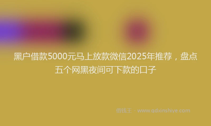 黑户借款5000元马上放款微信2025年推荐，盘点五个网黑夜间可下款的口子
