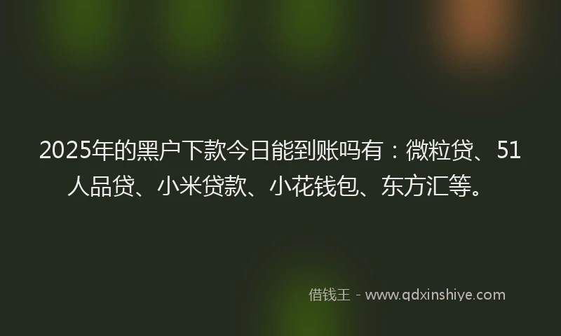 2025年的黑户下款今日能到账吗有：微粒贷、51人品贷、小米贷款、小花钱包、东方汇等。