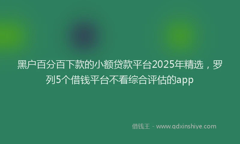 黑户百分百下款的小额贷款平台2025年精选，罗列5个借钱平台不看综合评估的app