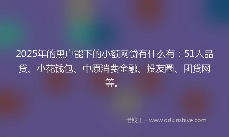2025年的黑户能下的小额网贷有什么有：51人品贷、小花钱包、中原消费金融、投友圈、团贷网等。