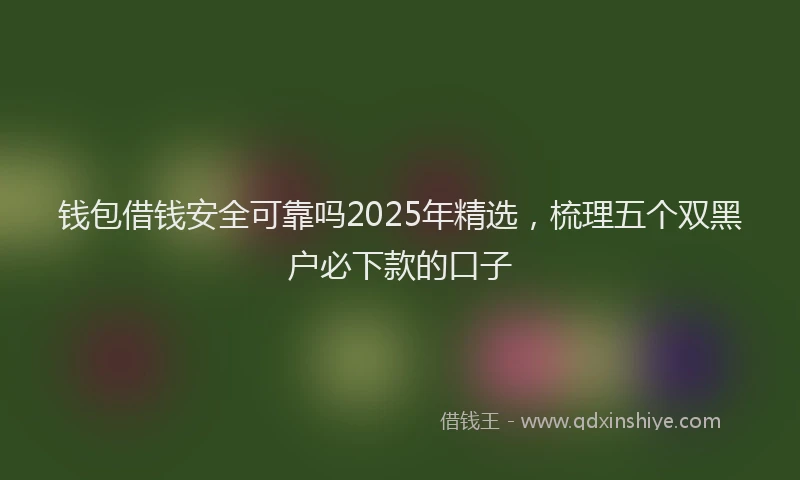 钱包借钱安全可靠吗2025年精选，梳理五个双黑户必下款的口子